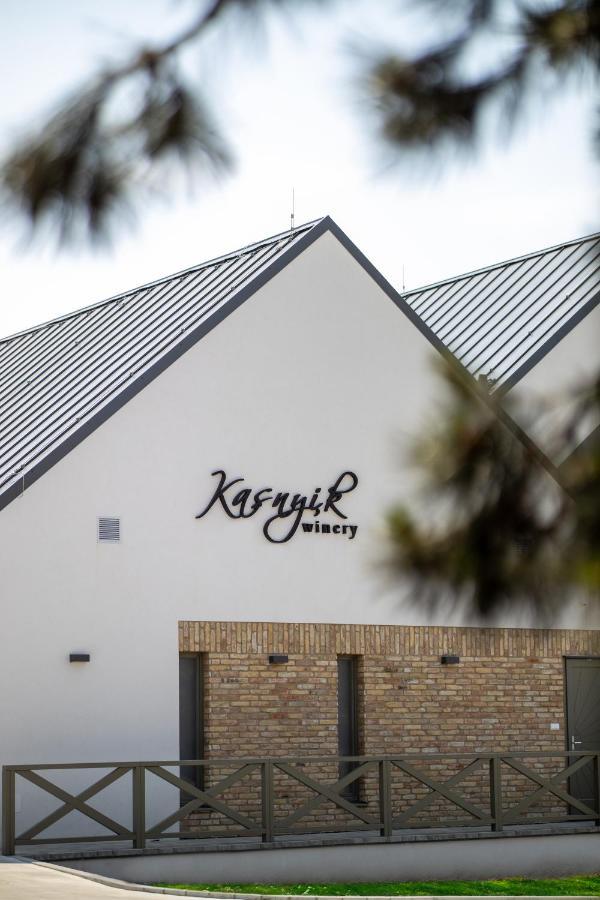منزل الضيف Strekov  في Kasnyik Winery المظهر الخارجي الصورة